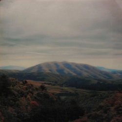 Dirty Projectors / B...