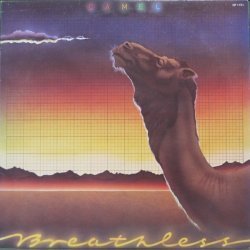 Camel
